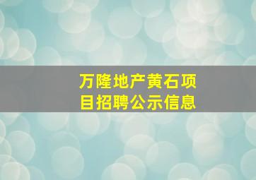 万隆地产黄石项目招聘公示信息