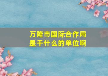 万隆市国际合作局是干什么的单位啊