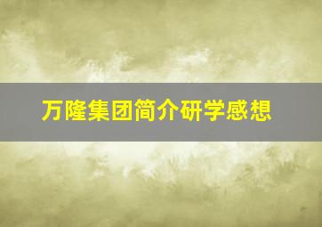 万隆集团简介研学感想