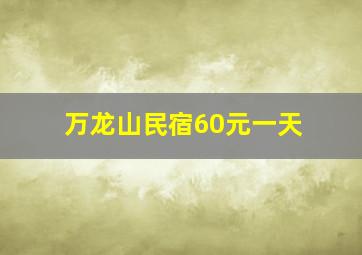 万龙山民宿60元一天