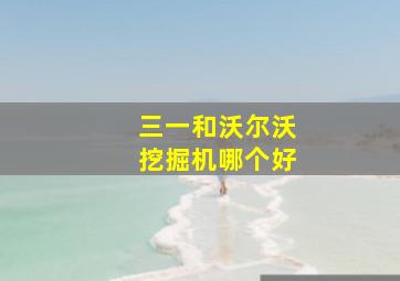 三一和沃尔沃挖掘机哪个好