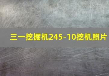 三一挖掘机245-10挖机照片