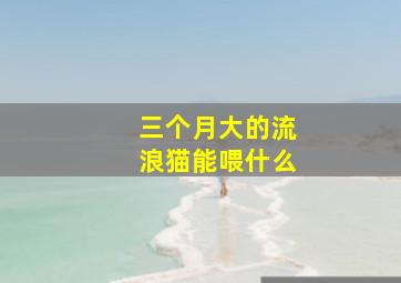 三个月大的流浪猫能喂什么