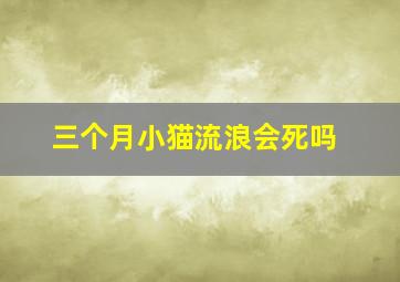 三个月小猫流浪会死吗