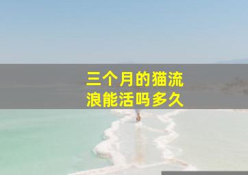 三个月的猫流浪能活吗多久