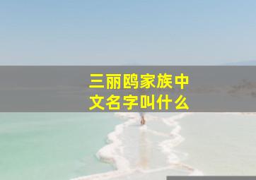 三丽鸥家族中文名字叫什么