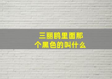 三丽鸥里面那个黑色的叫什么