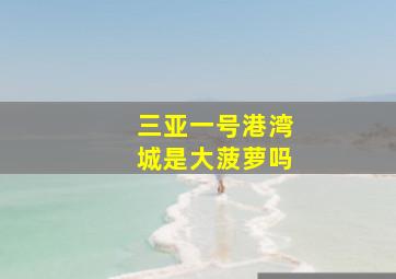 三亚一号港湾城是大菠萝吗