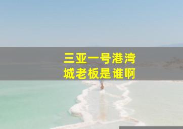 三亚一号港湾城老板是谁啊