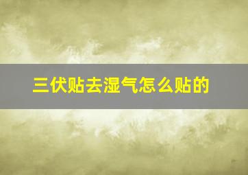 三伏贴去湿气怎么贴的