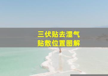 三伏贴去湿气贴敷位置图解