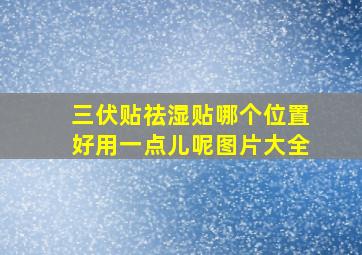 三伏贴祛湿贴哪个位置好用一点儿呢图片大全