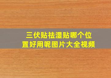 三伏贴祛湿贴哪个位置好用呢图片大全视频