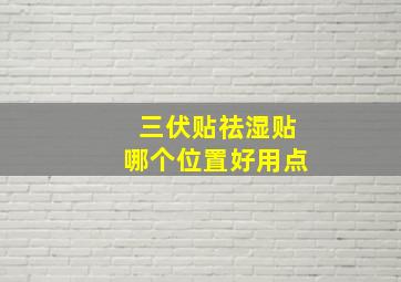 三伏贴祛湿贴哪个位置好用点