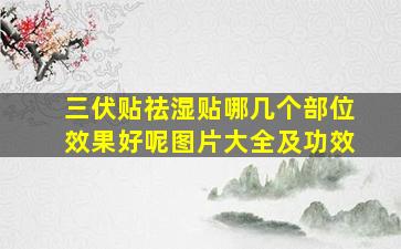 三伏贴祛湿贴哪几个部位效果好呢图片大全及功效