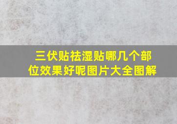 三伏贴祛湿贴哪几个部位效果好呢图片大全图解