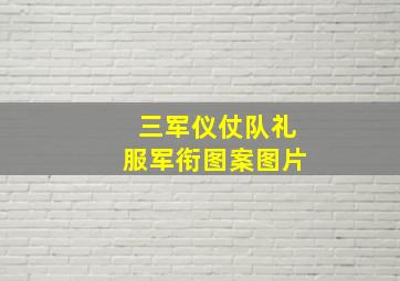 三军仪仗队礼服军衔图案图片