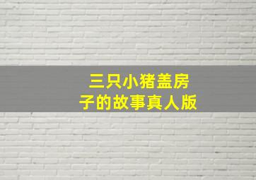 三只小猪盖房子的故事真人版