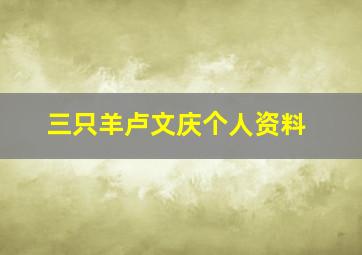 三只羊卢文庆个人资料