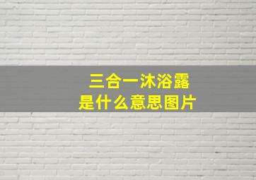 三合一沐浴露是什么意思图片