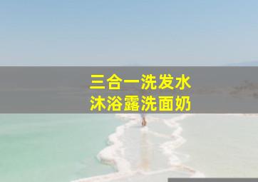 三合一洗发水沐浴露洗面奶