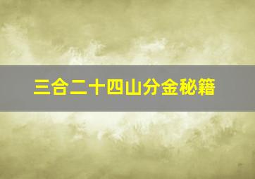 三合二十四山分金秘籍