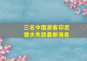 三名中国游客印尼潜水失踪最新消息