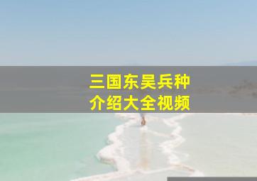 三国东吴兵种介绍大全视频