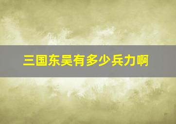 三国东吴有多少兵力啊