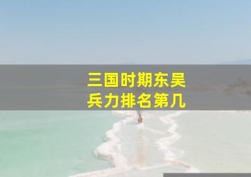 三国时期东吴兵力排名第几