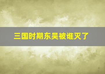 三国时期东吴被谁灭了