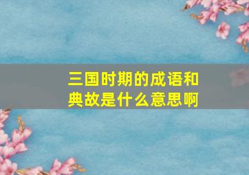 三国时期的成语和典故是什么意思啊