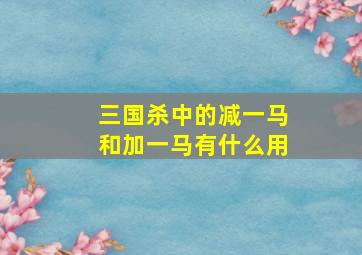 三国杀中的减一马和加一马有什么用