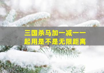 三国杀马加一减一一起用是不是无限距离