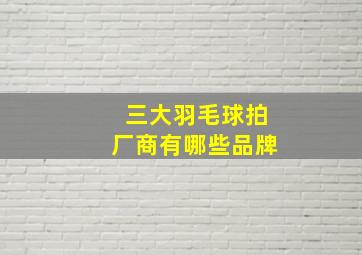 三大羽毛球拍厂商有哪些品牌