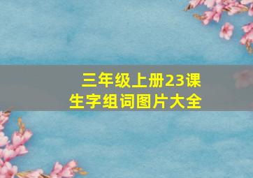 三年级上册23课生字组词图片大全