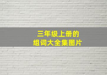 三年级上册的组词大全集图片