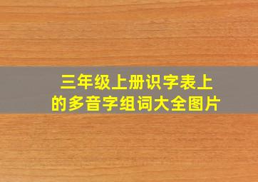 三年级上册识字表上的多音字组词大全图片