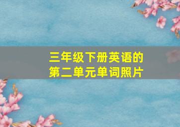 三年级下册英语的第二单元单词照片