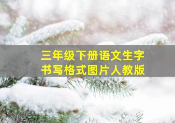 三年级下册语文生字书写格式图片人教版