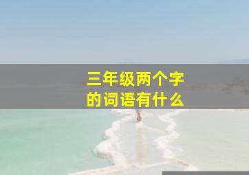 三年级两个字的词语有什么