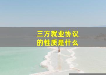 三方就业协议的性质是什么