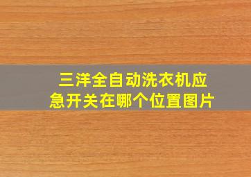 三洋全自动洗衣机应急开关在哪个位置图片