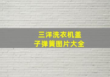 三洋洗衣机盖子弹簧图片大全