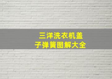 三洋洗衣机盖子弹簧图解大全