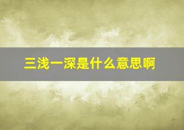 三浅一深是什么意思啊