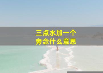 三点水加一个旁念什么意思