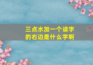 三点水加一个读字的右边是什么字啊