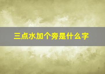 三点水加个旁是什么字