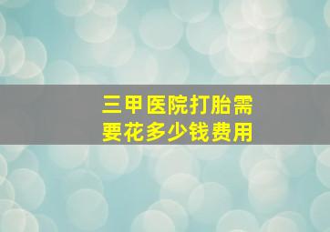 三甲医院打胎需要花多少钱费用